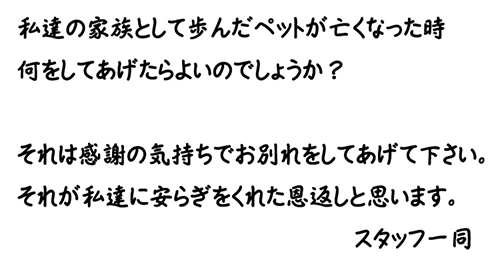 ・・・私たちの想い・・・
私たちの家族として歩んだペットが
亡くなった時何をしてあげたら
良いのでしょうか?
それは感謝の気持ちで最後の
お別れをしてあげて下さい。
それが私達に安らぎをくれた
恩返しと思います。
?スタッフ一同